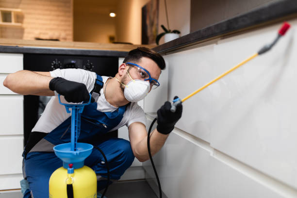 Reliable Edgecliff Village, TX Pest Control Solutions