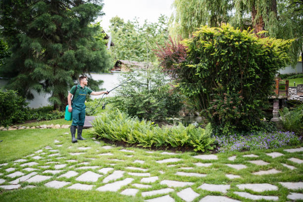 Best Pest Inspection Near Me  in Edgecliff Village, TX