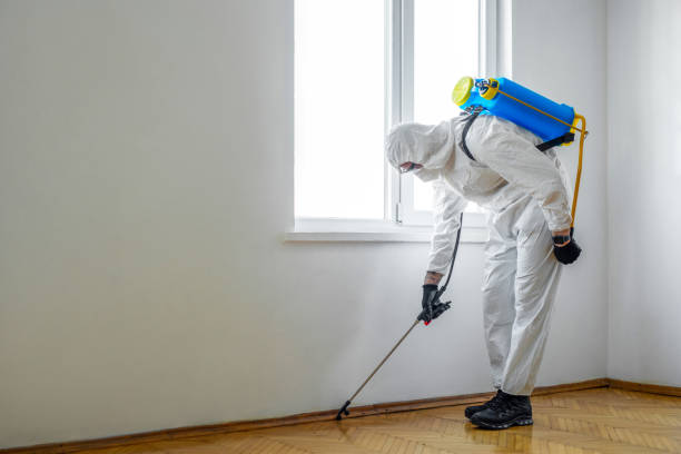 Flea Control Services in Edgecliff Village, TX