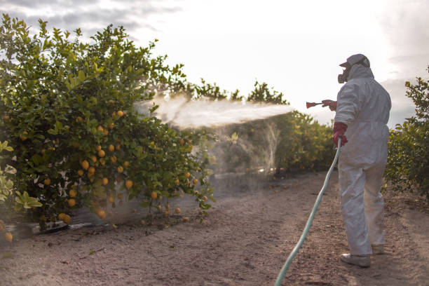 Best Pest Control Near Me  in Edgecliff Village, TX