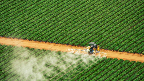 Best Commercial Pest Control Services  in Edgecliff Village, TX