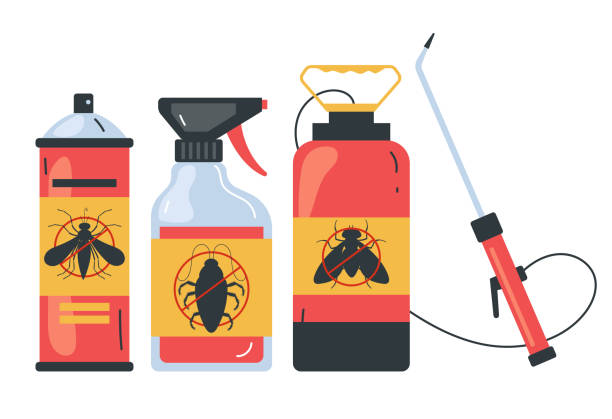 Best Wasp Removal Services  in Edgecliff Village, TX