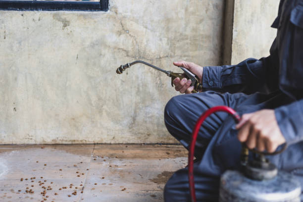 Best Mosquito Control Services  in Edgecliff Village, TX